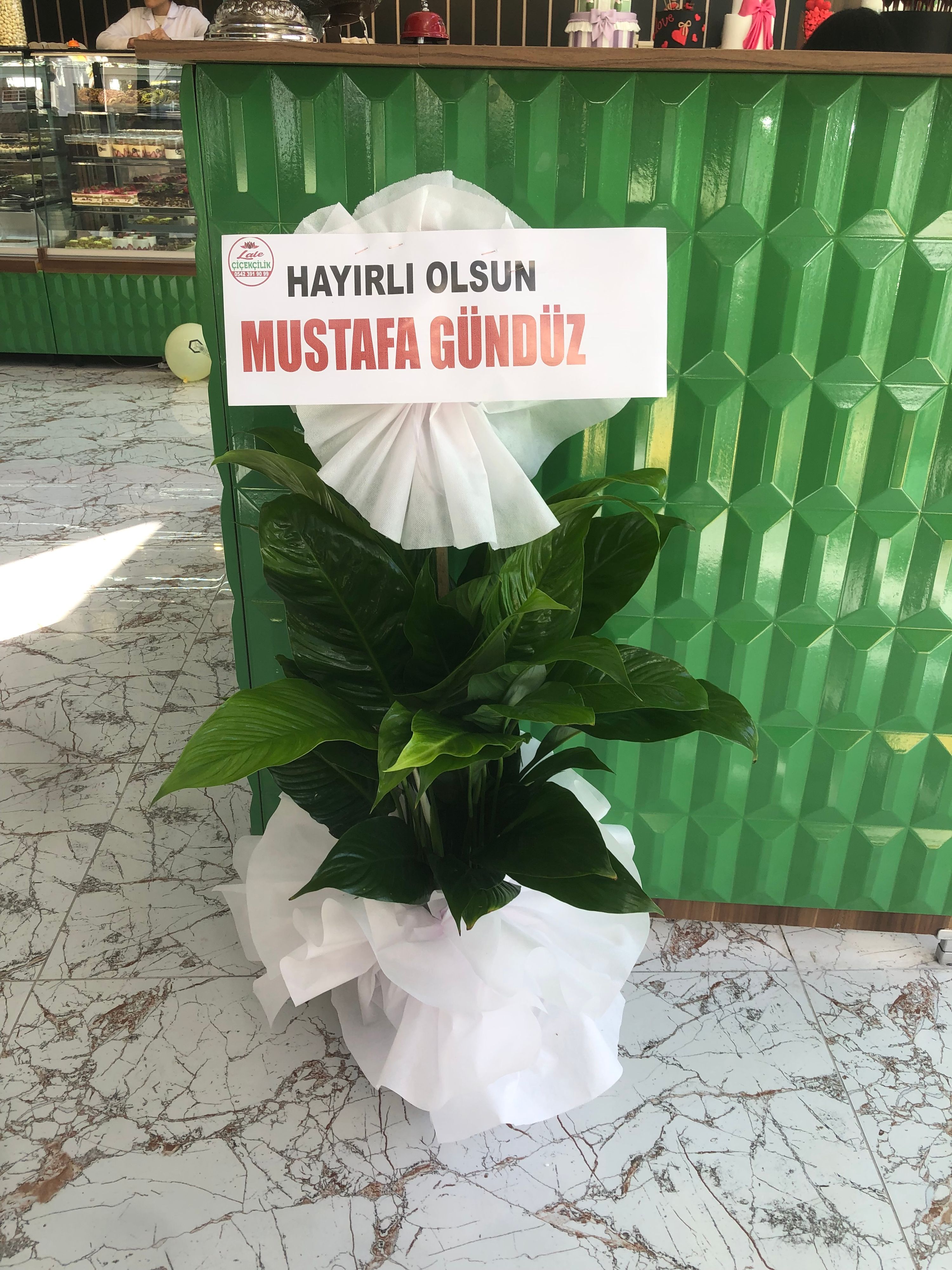 Saksı-17