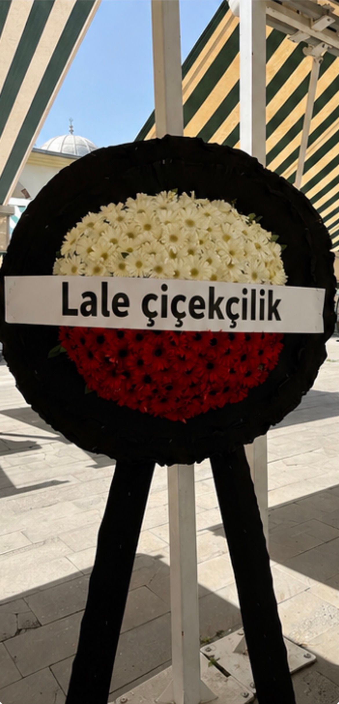 Celenkcen1