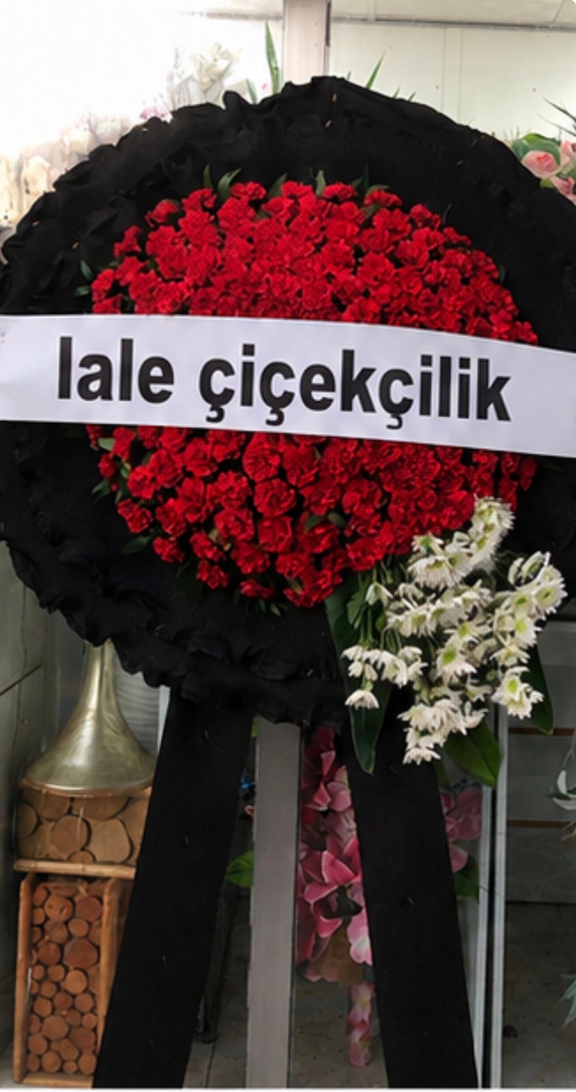 Celenkcwn2