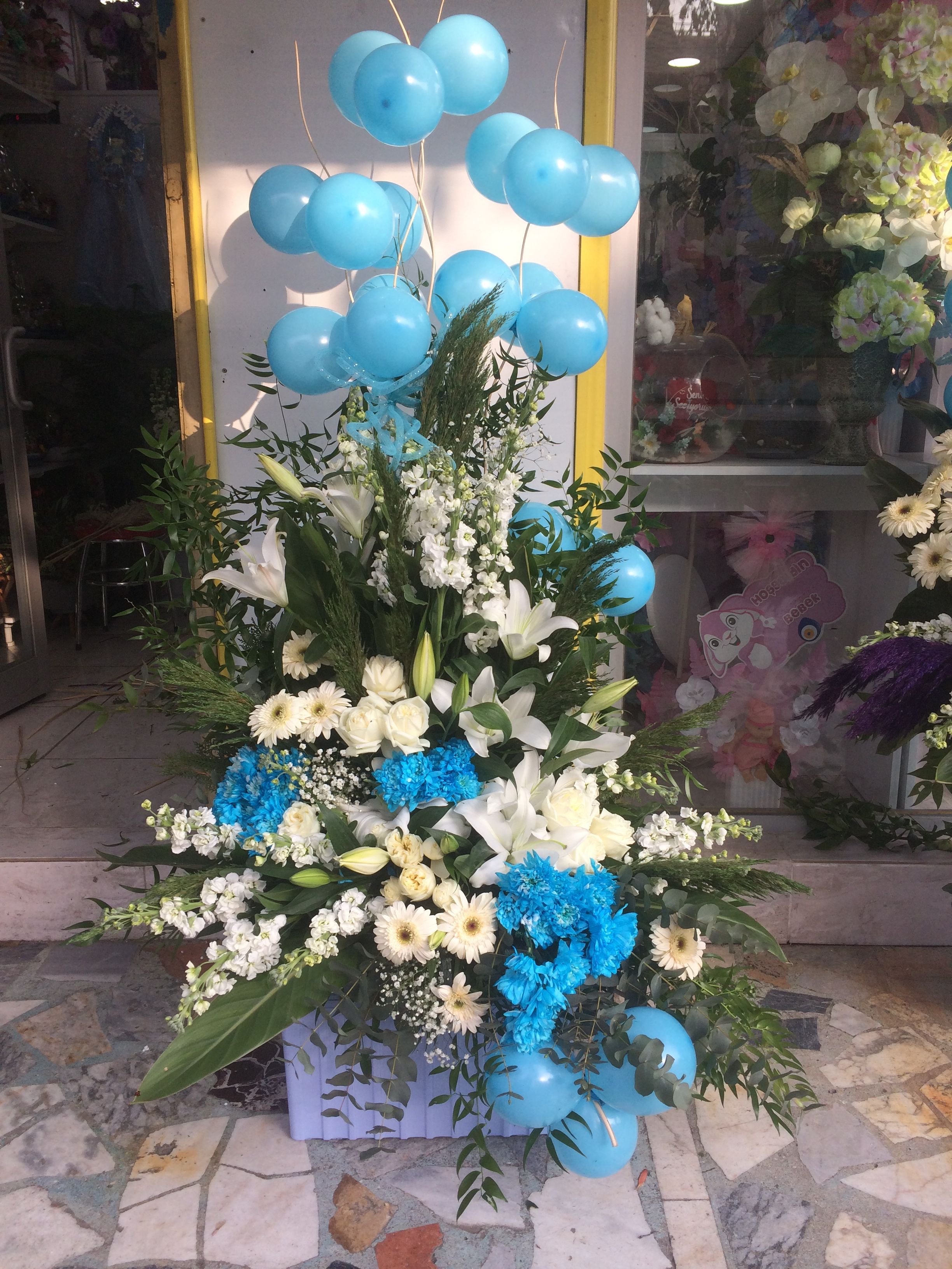 Bebek14