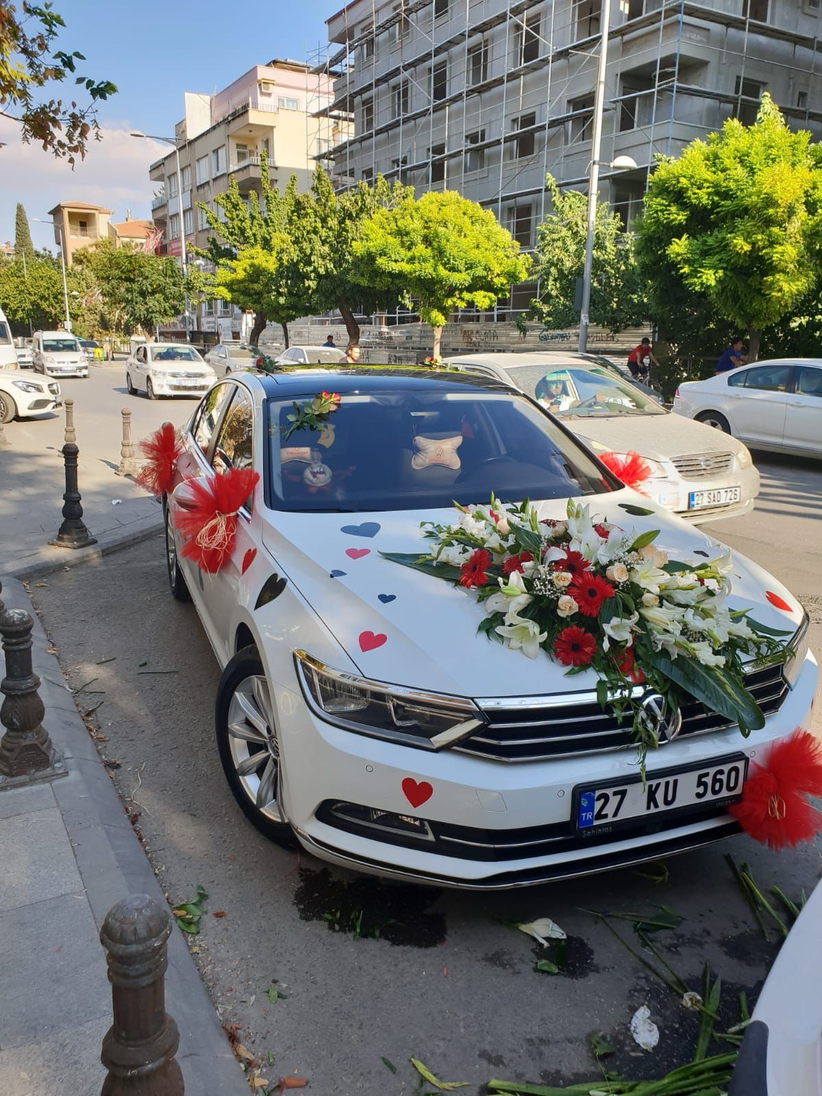 Araba6