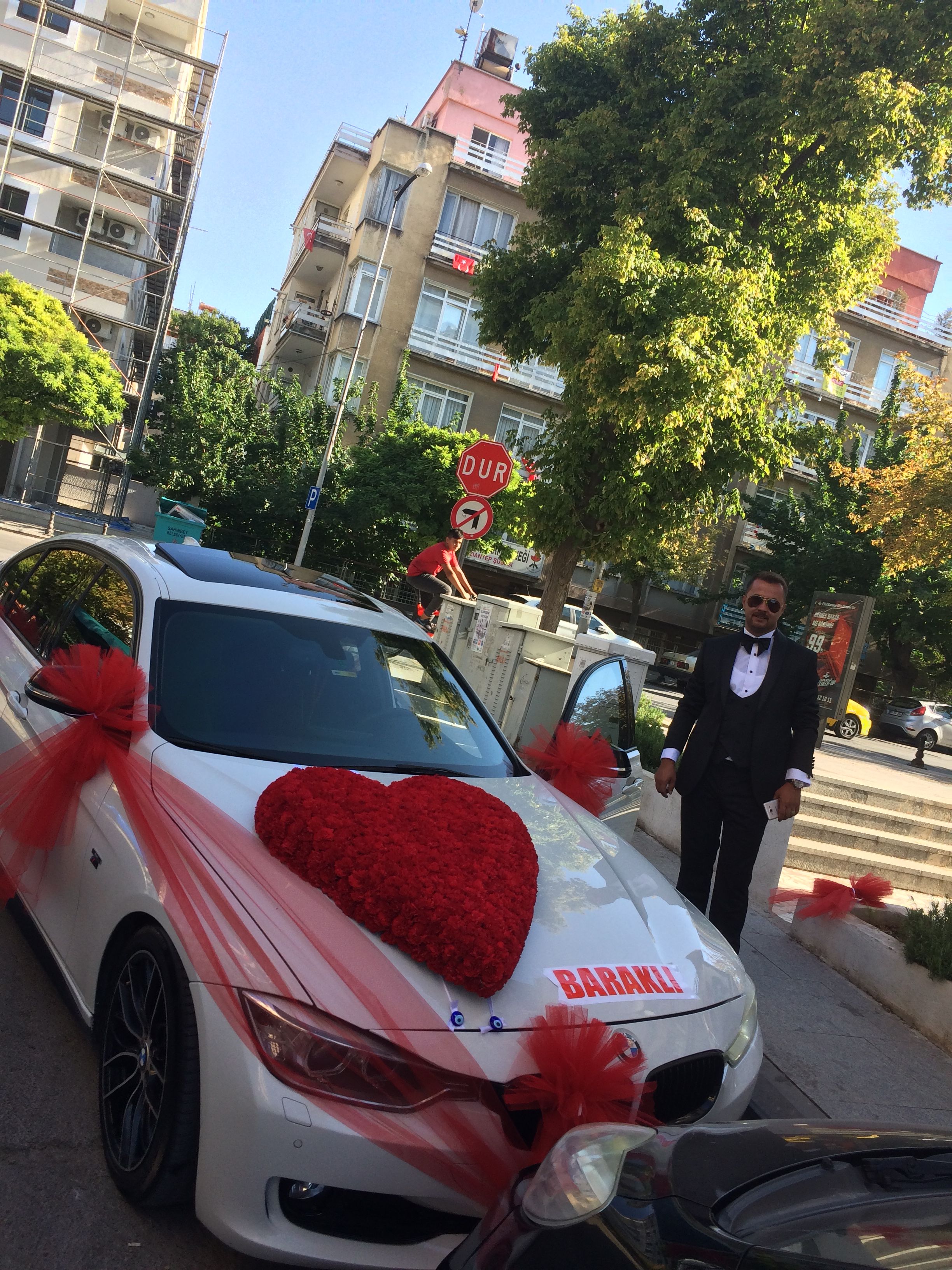 Araba8