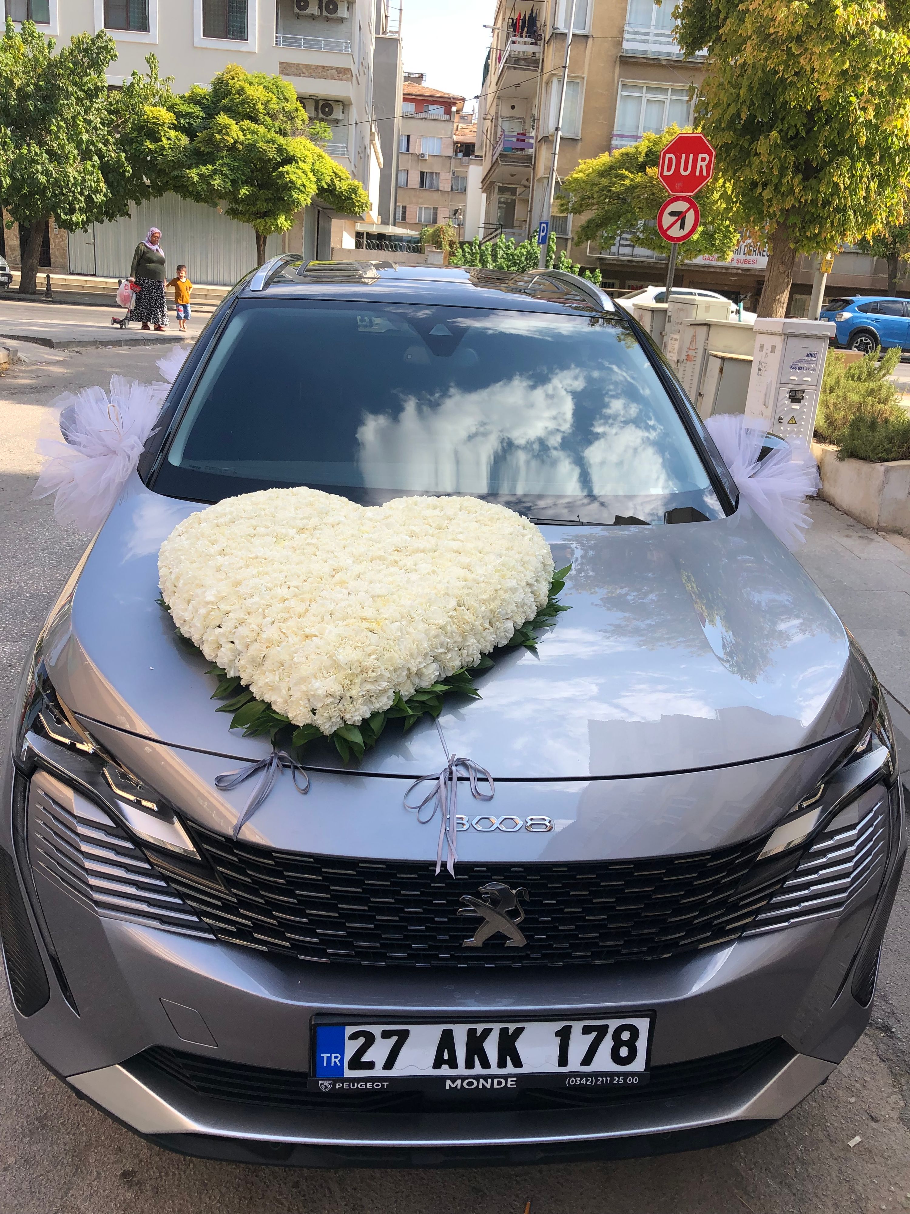 Araba12