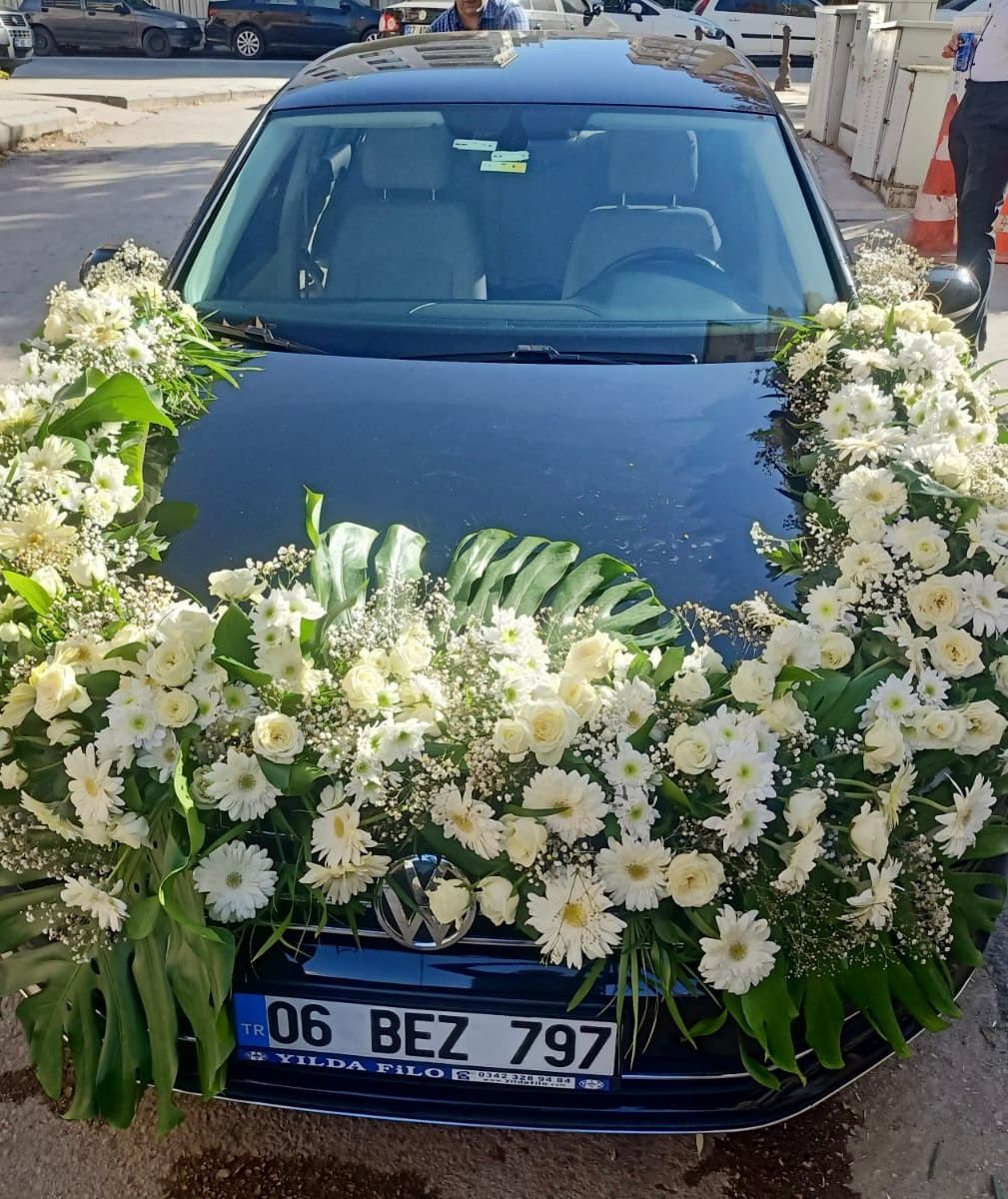 Araba16