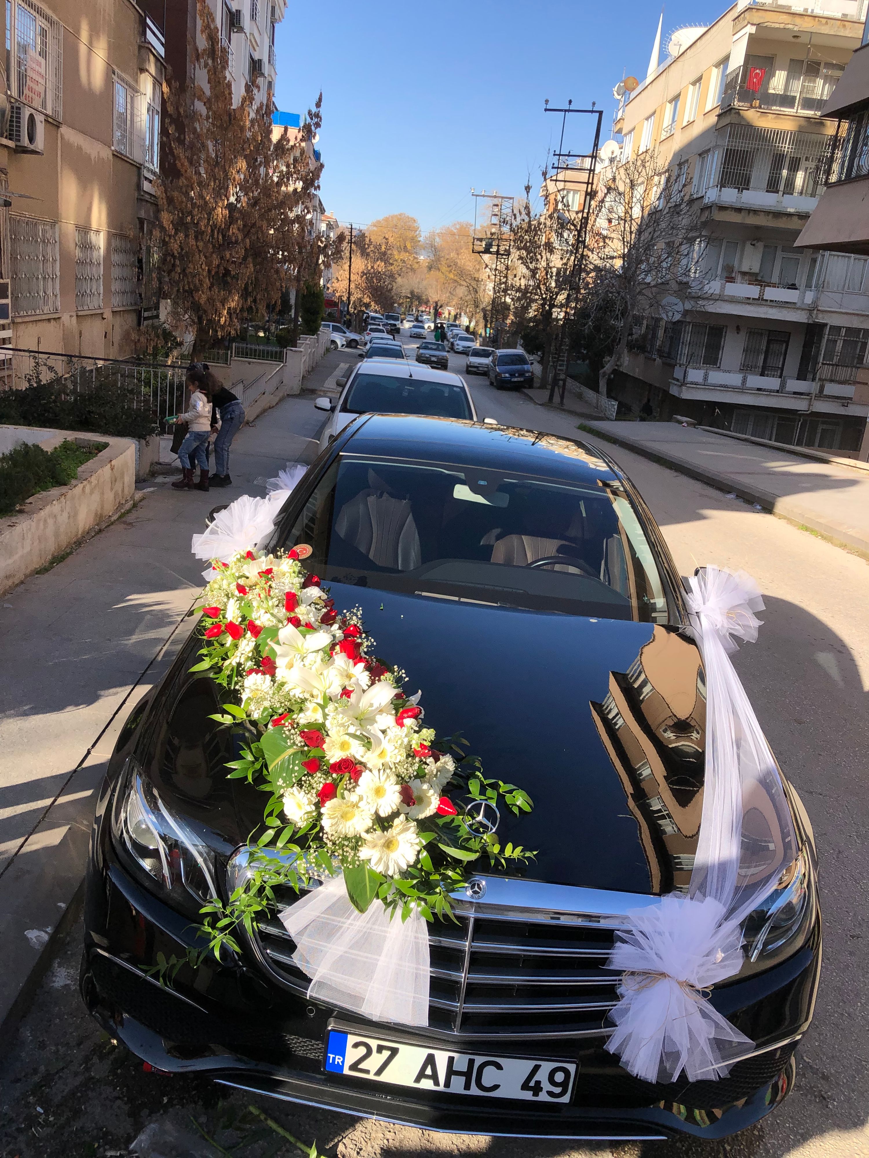 Araba18